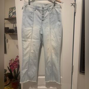 Style & Co. Light Blue Button-Fly Jeans